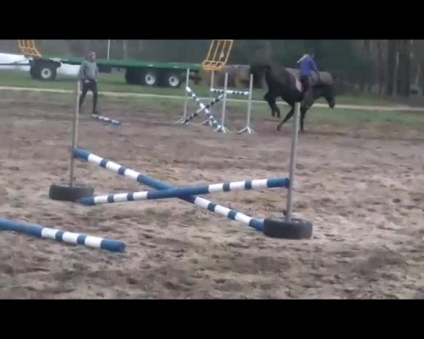 Video of Tall black machine for jumpig/ eventing