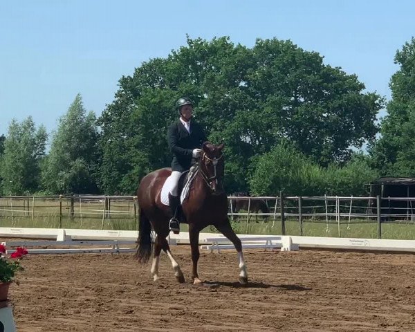 Reitturnier Osterwald 2019