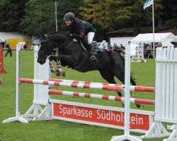 jumper Sharan (German Riding Pony, 1996, from Welcome Sympatico)