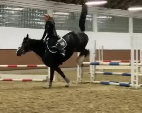 Video of Baloua du Rouet