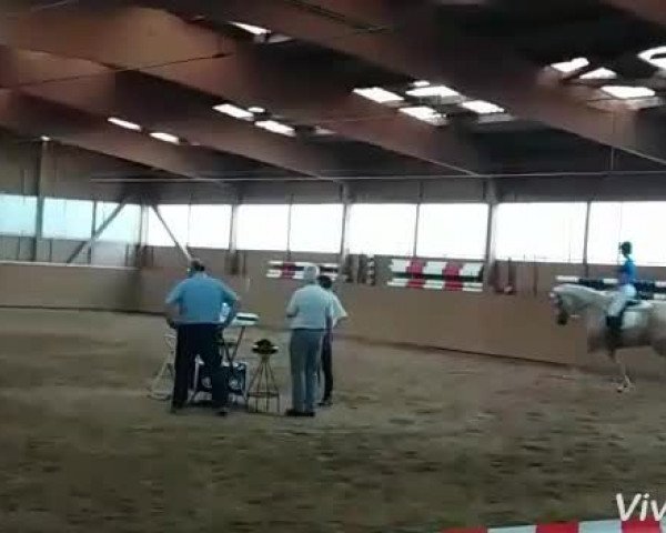 Video of Reuschbachhofs Julia Stegner