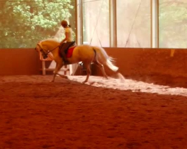 Video of Reuschbachhofs Julia Stegner