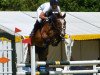 jumper Emira C (German Riding Pony, 2007, from Grisu N)