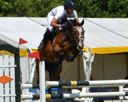 jumper Emira C (German Riding Pony, 2007, from Grisu N)