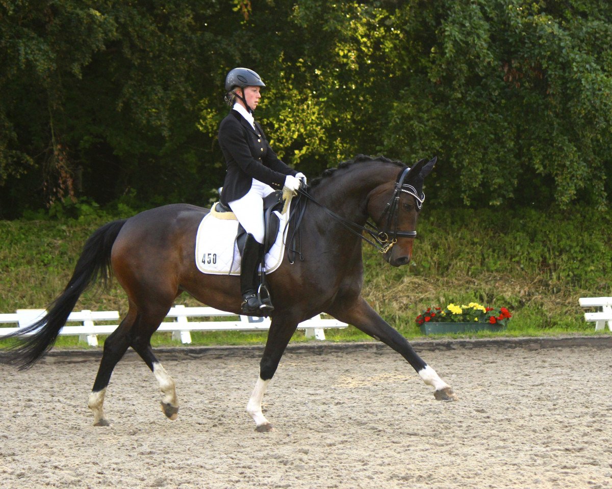 broodmare Fame R (Westphalian, 2008, from Fidertanz)