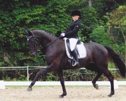 dressage horse Luna (Hannoveraner, 2003, from Likoto xx)