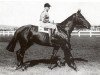 stallion Aethelstan xx (Thoroughbred, 1922, from Teddy xx)