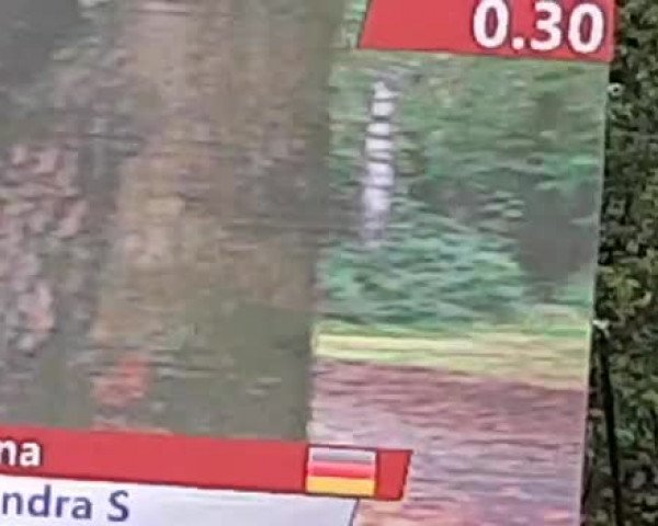 Video von Contandra S