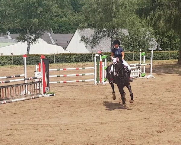 Video von Contandra S