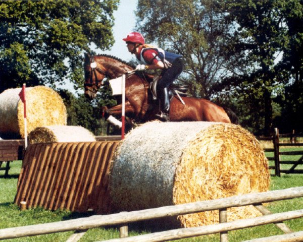 broodmare Nikita 99 (German Riding Pony, 1993, from Durello)