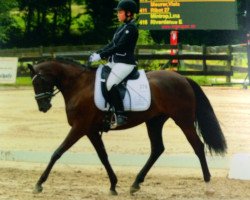 dressage horse Prinsesse Paulina (German Riding Pony, 2009, from Noir de Luxe)