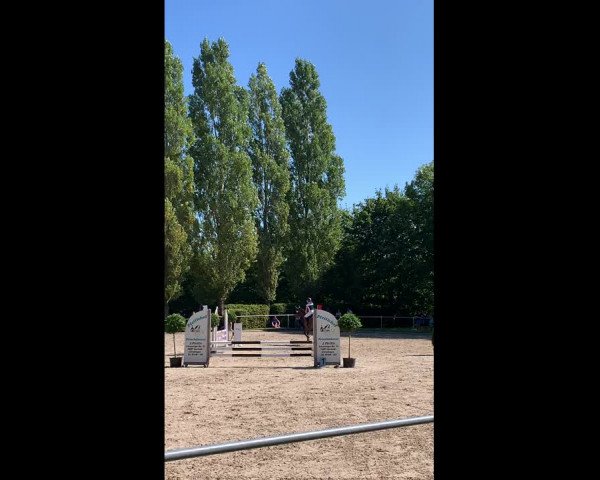 Video of Captain's Mica