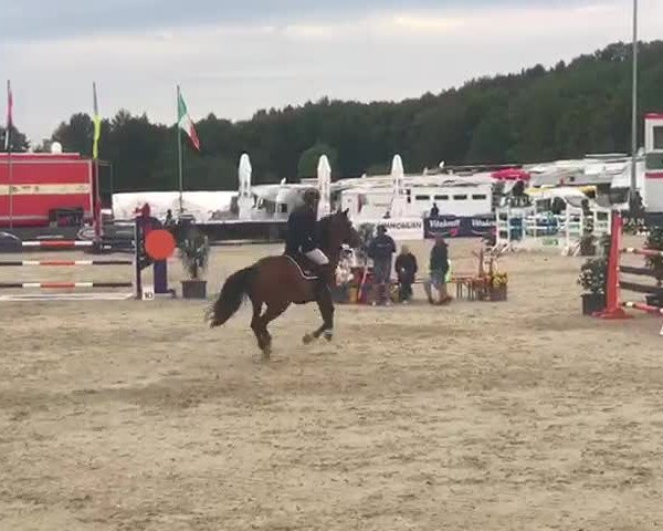 Video of Fabregas KS
