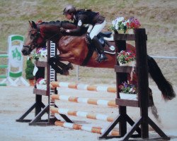 dressage horse Freenie (German Riding Pony, 2001, from Arkus)