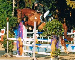 jumper Prince of Persia (Oldenburg, 2009, from Perigueux)