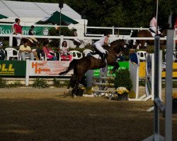 dressage horse Papageno 98 (Hanoverian, 2005, from Paradiesvogel)