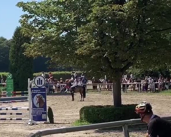 Reitturnier Sprockhövel-Gut Diefhausen 2019