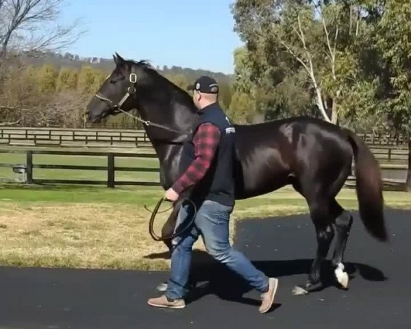 Video of More Than Ready xx