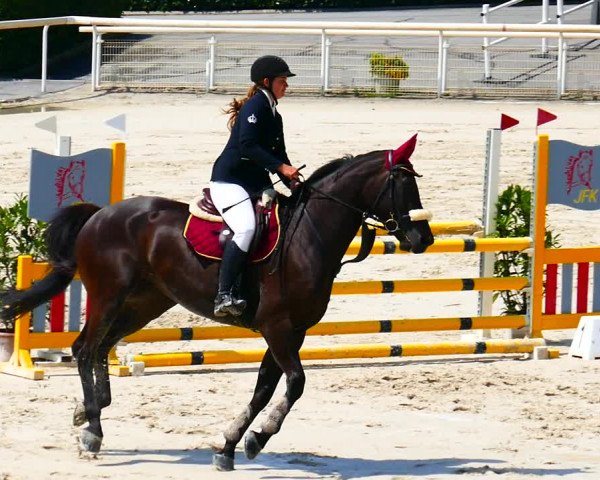 Reitturnier Avenches IENA 2019