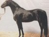 stallion Iwanowitsch xx (Thoroughbred, 1978, from Ilix xx)
