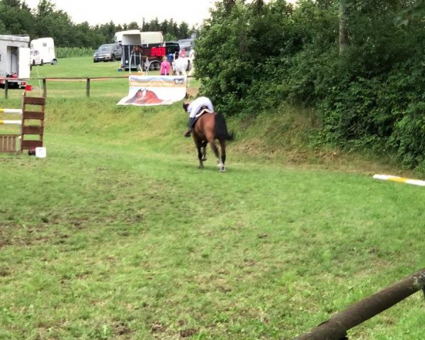 Video of Quado