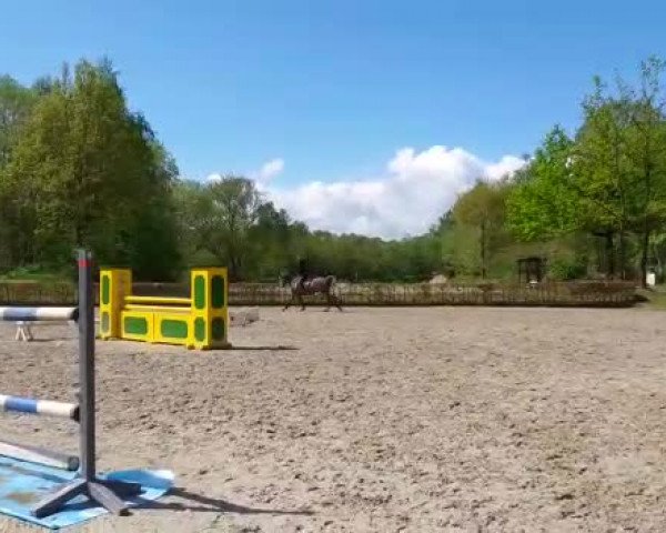 Video of Crusher 2