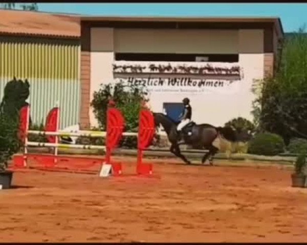 Video of Camilla