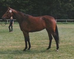 broodmare Brentana (Hanoverian, 1992, from Brentano II)