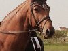 dressage horse Idaho Country (Trakehner, 2003, from Guy Laroche)