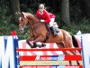 jumper Thunder III (KWPN (Royal Dutch Sporthorse), 2000, from Navarone)