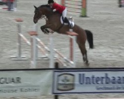 Springpferd Nemo 360 (KWPN (Niederländisches Warmblut), 2007, von Namelus R)