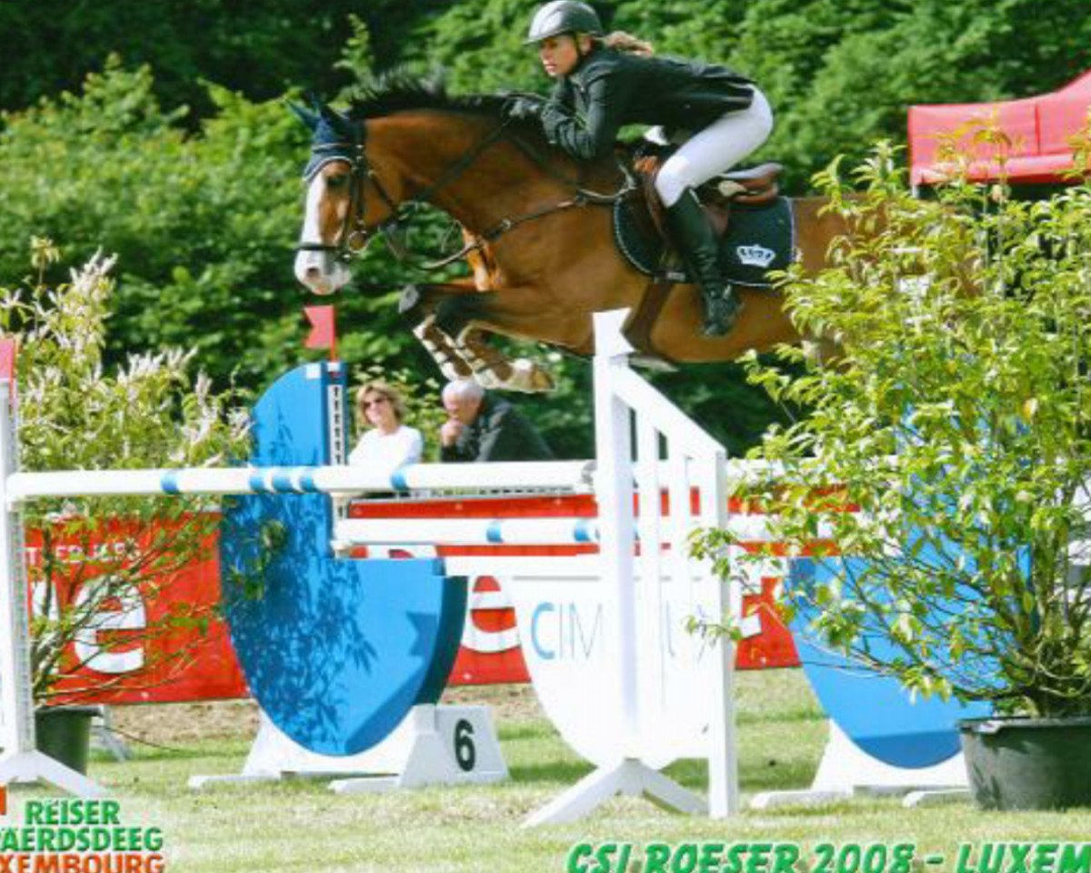broodmare My Dream 3 (KWPN (Royal Dutch Sporthorse), 1994, from Hamlet)