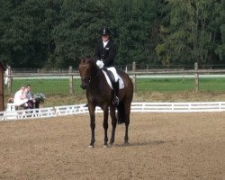 dressage horse Flirtfaktor (Hanoverian, 2009, from Fürst Romancier)