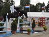 jumper Constantin 101 (Oldenburg show jumper, 2008, from Contendro I)