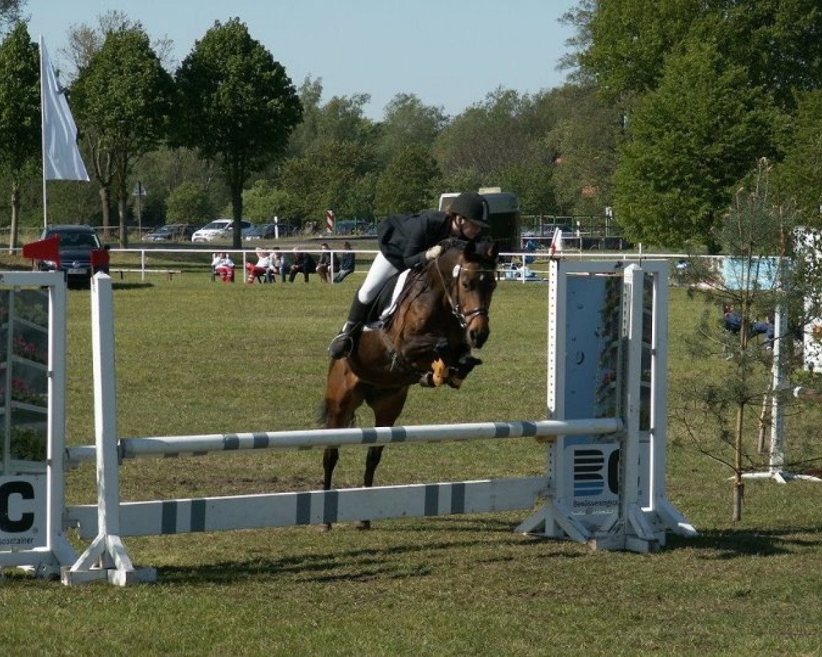 broodmare Lascana (German Riding Pony, 2001, from Legat)