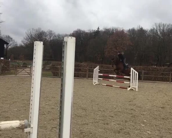 Video of Quantano 13