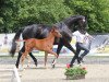 broodmare Sunday Morning SH (Hanoverian, 2006, from Stedinger)