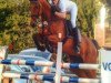 jumper Stratego Fh (Hanoverian, 2007, from Stalypso)