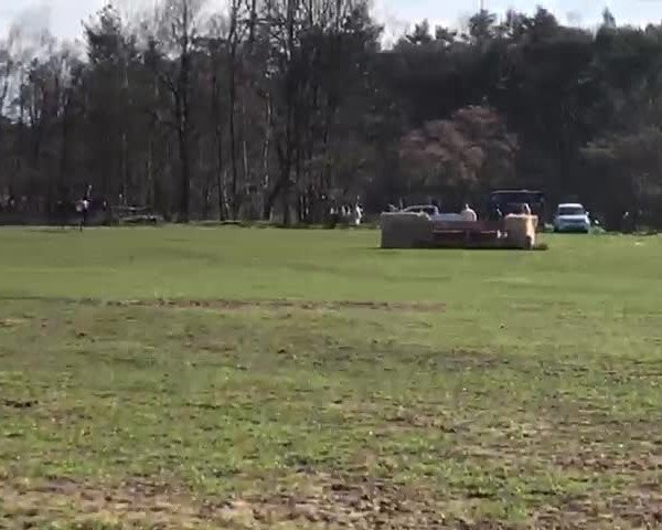 Video von D' Artagnan 6