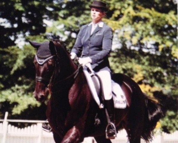 dressage horse Masepulany (Hanoverian, 2000, from Metternich)
