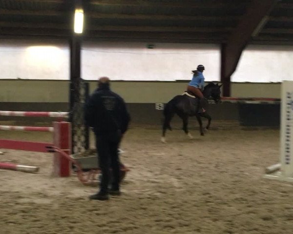 Video of Django Unchained