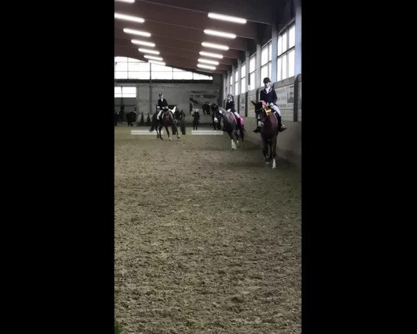 Video of Scavi Del Ray