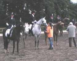 jumper Fleur W 2 (Hanoverian, 2001, from Fly High)