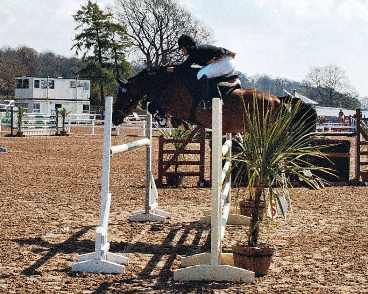 stallion Lord Caletto GZ (Holsteiner, 1991, from Lord)