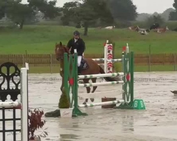 Reitturnier Schülp / Rendsburg 2017