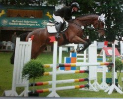 jumper Lord Kalobee (Hanoverian, 2008, from Le Primeur)