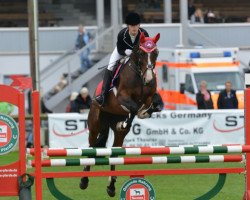 jumper Landpionistin (Oldenburg show jumper, 2006, from Landius)