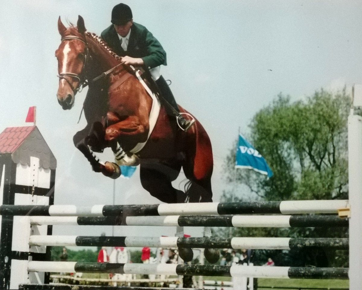horse Allegro (Zweibrücken, 1987, from Akteur)