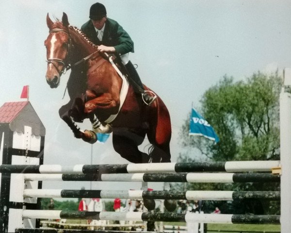Pferd Allegro (Zweibrücker, 1987, von Akteur)