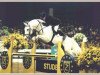 stallion Jumpilot (KWPN (Royal Dutch Sporthorse), 1991, from Pilot)